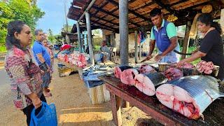 Wow!! Biggest Village FishMarket Excellent Fish Cutting in Island Of Sri Lanka