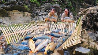 Deep into the jungle: Hunting giant stream fish, smoked fish meat making process, farm life