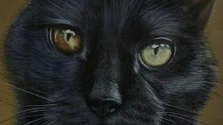 How I Paint a Black Cat in Oils & My Favorite Brushes for Painting Fur