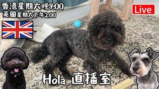 Live-Hola 英國直播室 香港:期六晚上九點 英國 下午兩點