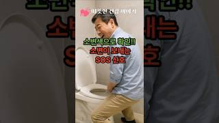 소변색으로 확인!!“소변이 보내는 SOS 신호!”                                                         #건강정보 #50세 #건강음식