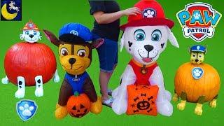 Paw Patrol Halloween Pumpkin Kits for Kids Chase Marshall Trick or Treat Inflatable Decorations Toys