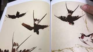 100 Birds by O-shi Yang Book Review by Oriental Art Supply