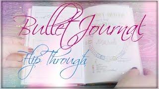 Bullet Journal 2016 Flip Through | Doronina Anastasia