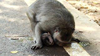 Mother Sreymao and cute baby very thirsty