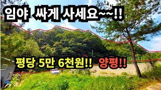 양평 임야 개간전에 저렴하게 사세요~~ 평당 5만원대!!  주택 요양원 캠핑장등 가능합니다!!