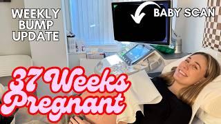 37 Weeks Pregnancy Update Vlog | Hospital Visit, 4D Baby Scan, Nesting & Labour Plans | Raw & Honest