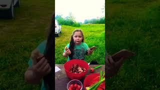 Срочно до конца проверяй #shortvideo #юмор #дуэт