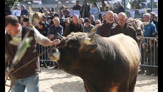 Le JT Lozère - édition du 26 septembre 2024 (depuis l'Aubrac)