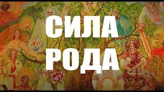 Важно ли знать историю своего рода и генеалогическое древо? | СИЛА РОДА - СИЛА ЧЕЛОВЕКА