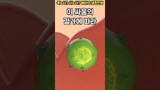 7편 _ 임신 후 수정란의 자궁내 착상 과정! 배아에서 태아로!
