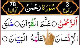 Surah Ar-Rehman Full | Surah Rahman HD With Arabic Text | Best Telawat Quran | Learn Daily