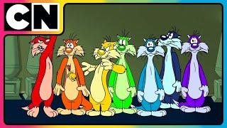 Colourful Sylvesters Chase Tweety Bird | Looney Tunes | Cartoon Network Asia