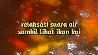 relaksasi suara air || sambil lihat ikan koi