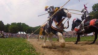 Wild SideTV-Jousting Horses