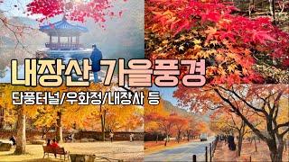 예전에 다녀온 내장산 단풍 가을여행단풍 시기 맞추기 어렵네요. (여행일 22년 11월 7일)