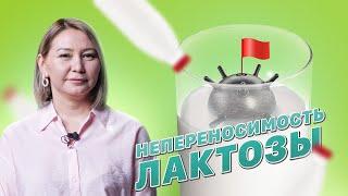 Непереносимость лактозы / Что нужно делать?