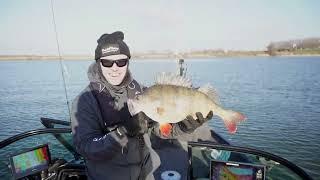 Last session video: Biggest perch so far!