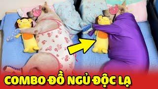 Em Chó được Sen chiều chuộng sắm toàn đồ ngủ độc lạ 