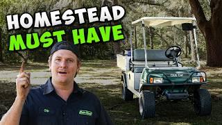 BEST cheap Golf Cart for the Money!