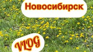 VLOG:Продолжаю обустраиваться, сдала документы, прогулка, ужин!!!️️