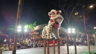 Penang Meihu Acrobatic Lion Dance 槟城美湖体育及文化协会