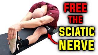 Sciatic nerve: The real reason behind tight hamstrings?
