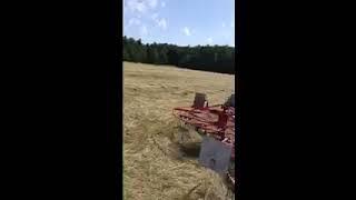 2022 side field raking with john deere 3020 and kuhn ga6002