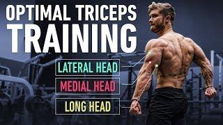 How To Build Huge Triceps with Optimal Training Technique