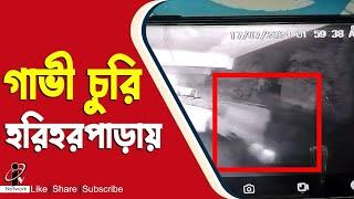 Hariharpara Incident: রাতের অন্ধকারে চারটি গাভী গরু চুরির ঘটনায় ব্যাপক চাঞ্চল্য হরিহরপাড়ায়