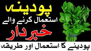 pudina ke fayde aur nuksan | Mint | پودینہ | Mehrban Ali | mint benefits