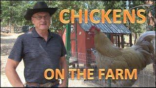 CHICKENS ON THE FARM