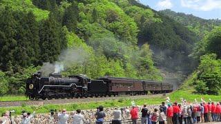 ㊗️おかえり！SLやまぐち号 2年ぶりの復活!! D51200号機　2024.5.3　Japanese Steam Locomotive D51 【蒸気機関車】