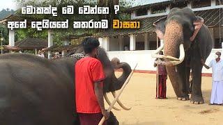 Katharagama wasana etha | අනේ දෙයියනේ කතරගම වාසනා  #wasana #katharagama_wasana