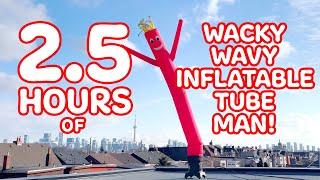 2.5 Hours of Wacky Wavy Inflatable Flailing Arm Tube Man