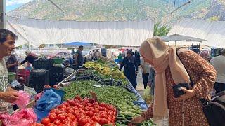 Life in a Small TOWN in Turkey: AMASYA