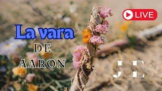 LA VARA DE AARÓN -  CON  JAZAN ELIYAHU  29-06-2024