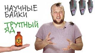 Трупный яд. Научные байки дядюшки Серафима