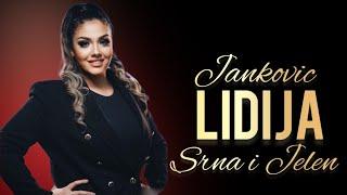 Lidija Jankovic - Srna i jelen (orkestar Dragana Ćirkovića Ćire)