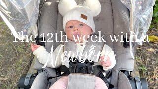 The 12th Week with a newborn | The sun is shining