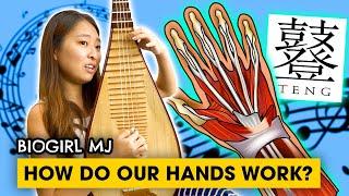 Why are our hands so incredible! | Biogirl MJ (Ft. The TENG Ensemble)