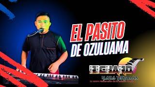 El pasito de Ozuluama 2024 - Richard y sus teclados.