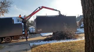 Tree Clean Up OKC