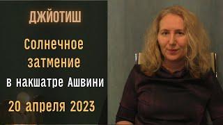 Солнечное затмение в накшатре Ашвини  20 апреля | Как смотреть результаты | Астрология Джйотиш