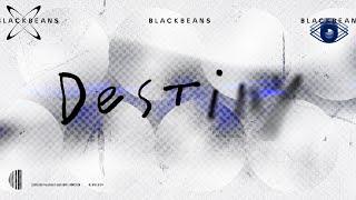 BLACKBEANS - Destiny [Official Lyric Video]