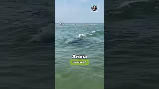 Больше интересных видео у нас на канале #русскаядуша #россия #русские #природа #анапа #летоотдых