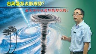 台风是如何形成的？为什么是涡旋状？李永乐老师讲科里奥利力