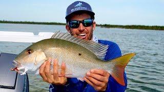 Sight Fishing Mutton Snappers in less than 3ft of Water - 4K