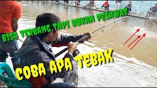 Mancing ikan galatama bawal. Terpesona melihat ikanya pada terbang.