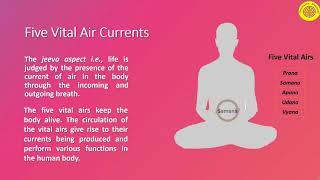 Five Vital Air Currents